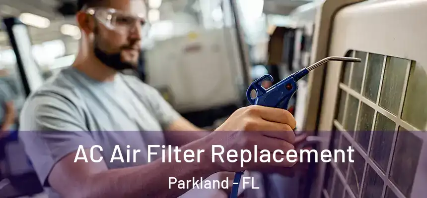  AC Air Filter Replacement Parkland - FL