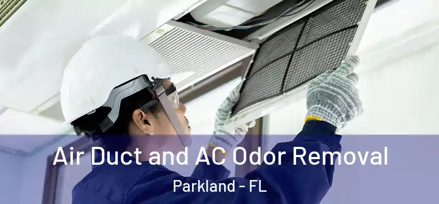  Air Duct and AC Odor Removal Parkland - FL