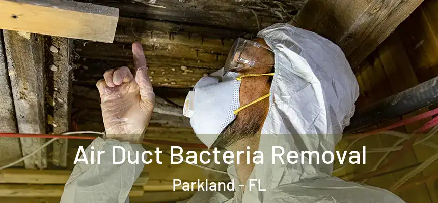  Air Duct Bacteria Removal Parkland - FL