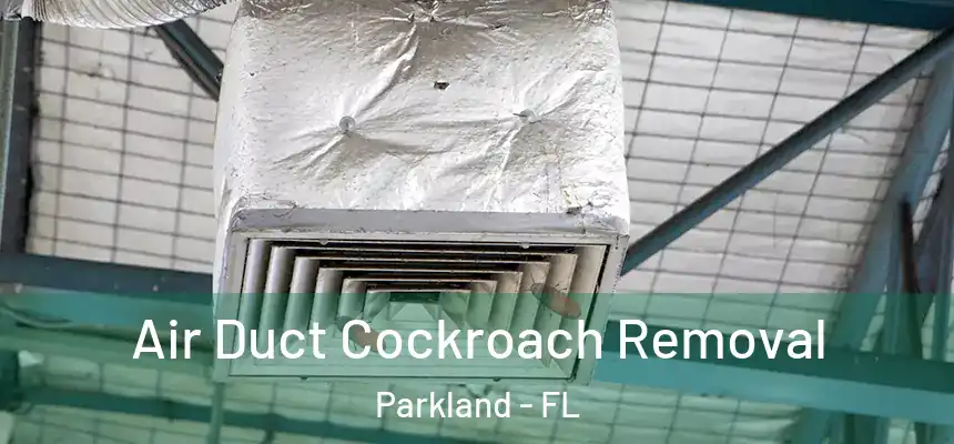  Air Duct Cockroach Removal Parkland - FL