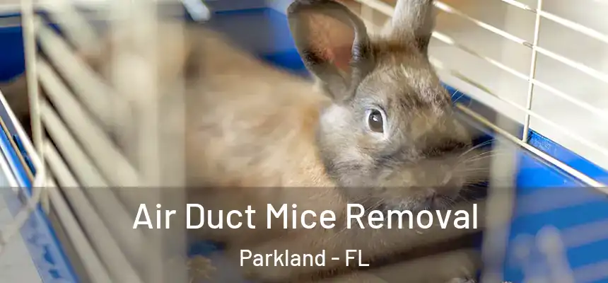 Air Duct Mice Removal Parkland - FL