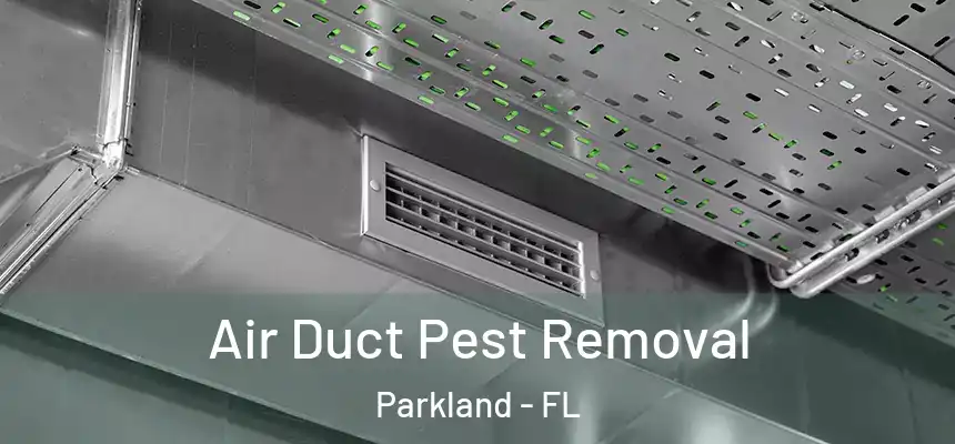 Air Duct Pest Removal Parkland - FL