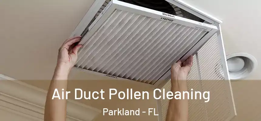 Air Duct Pollen Cleaning Parkland - FL