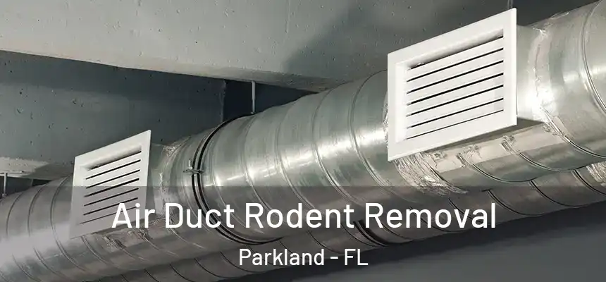 Air Duct Rodent Removal Parkland - FL