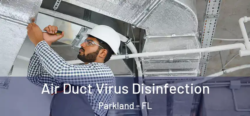 Air Duct Virus Disinfection Parkland - FL