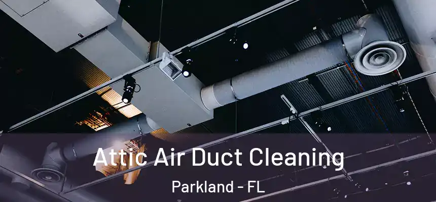 Attic Air Duct Cleaning Parkland - FL