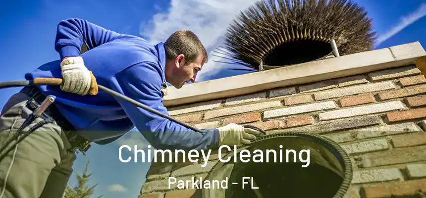  Chimney Cleaning Parkland - FL