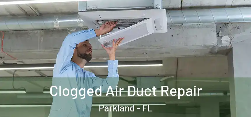  Clogged Air Duct Repair Parkland - FL