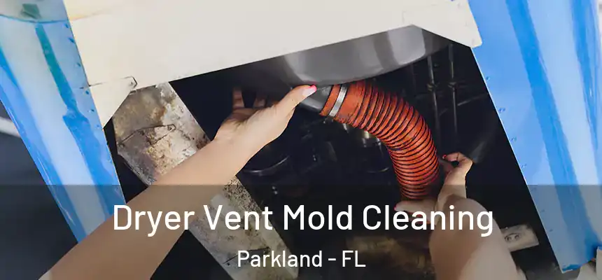  Dryer Vent Mold Cleaning Parkland - FL