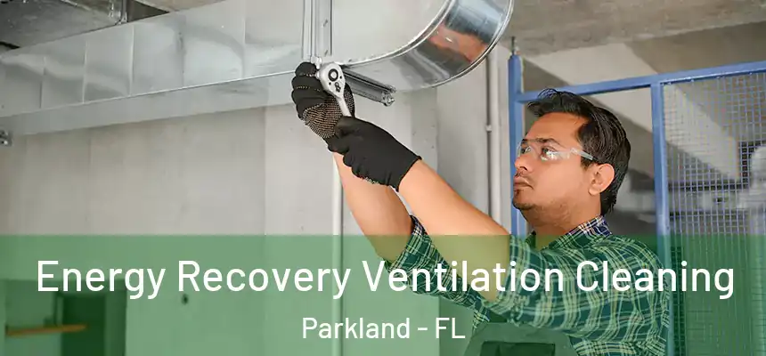 Energy Recovery Ventilation Cleaning Parkland - FL