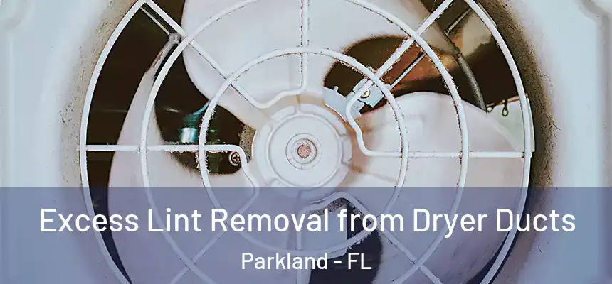  Excess Lint Removal from Dryer Ducts Parkland - FL