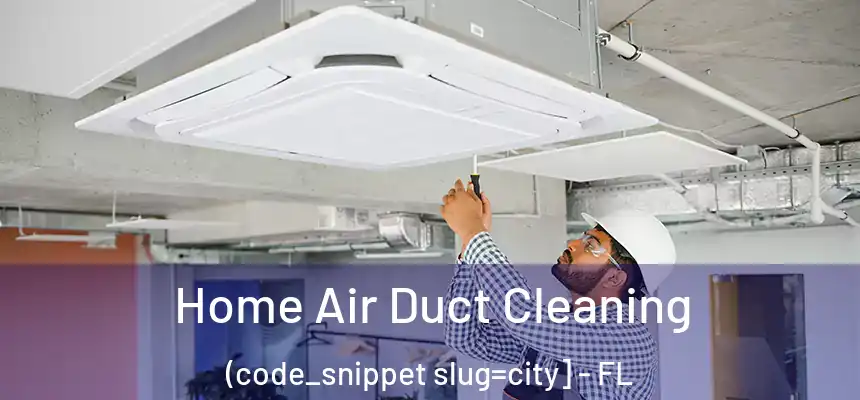  Home Air Duct Cleaning (code_snippet slug=city] - FL