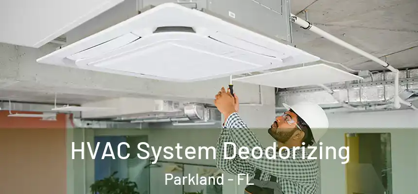  HVAC System Deodorizing Parkland - FL