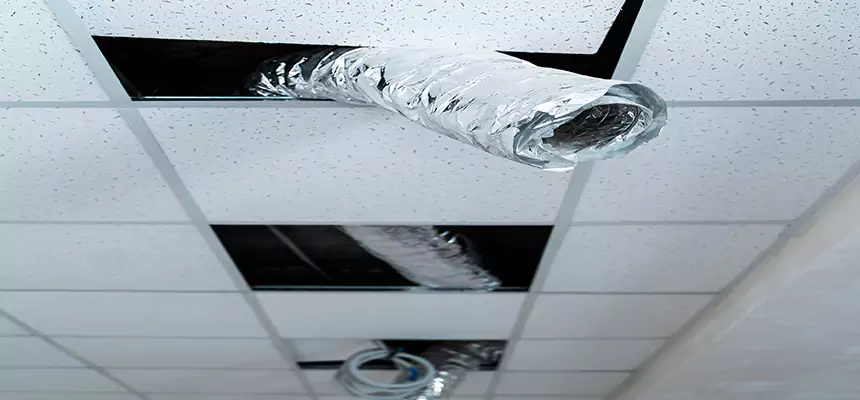 Our Air Duct Pet Hair Removal Services in Parkland, FL