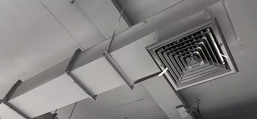 Our Rodent Droppings In Vents Services in Parkland, FL