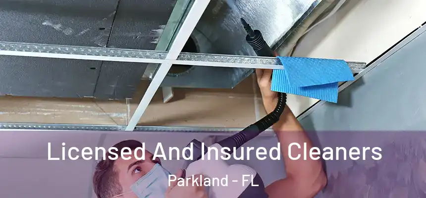  Licensed And Insured Cleaners Parkland - FL