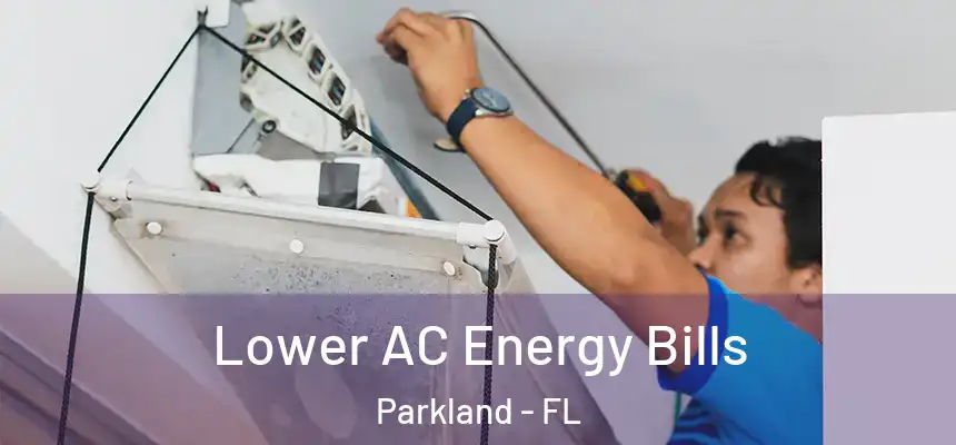  Lower AC Energy Bills Parkland - FL