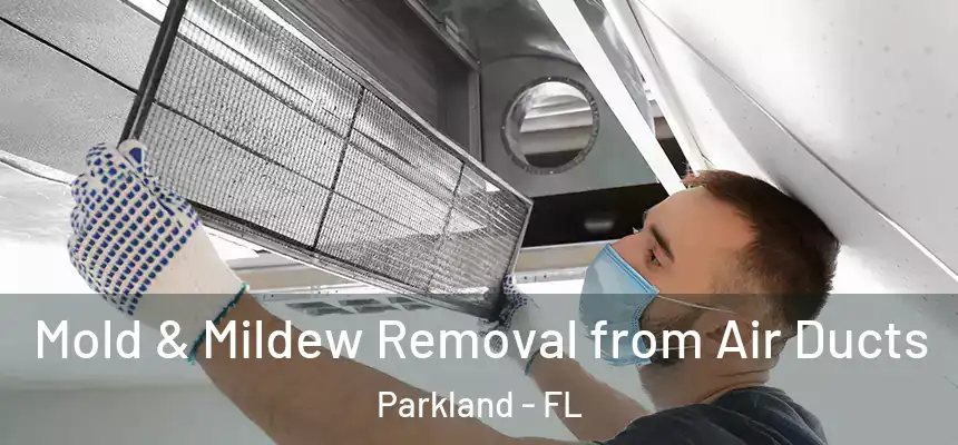  Mold & Mildew Removal from Air Ducts Parkland - FL