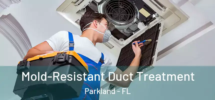 Mold-Resistant Duct Treatment Parkland - FL