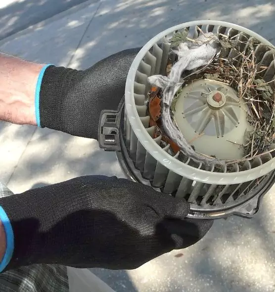 About Air Duct Rat Removal in Parkland, FL