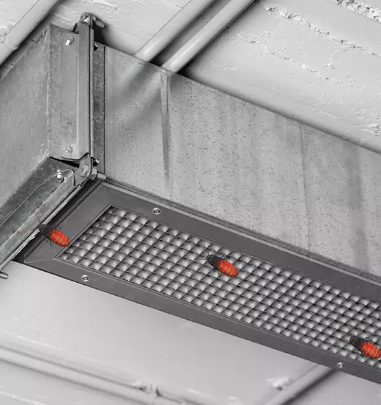 Affordable Insect Removal from Air Ducts in Parkland, FL
