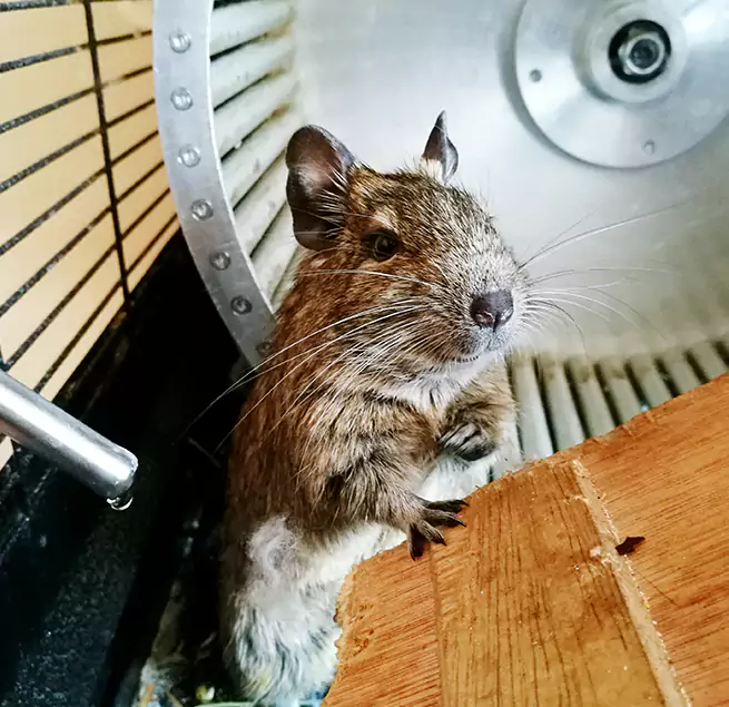 Why Homeowners & Businesses Trust Us Parkland, FL