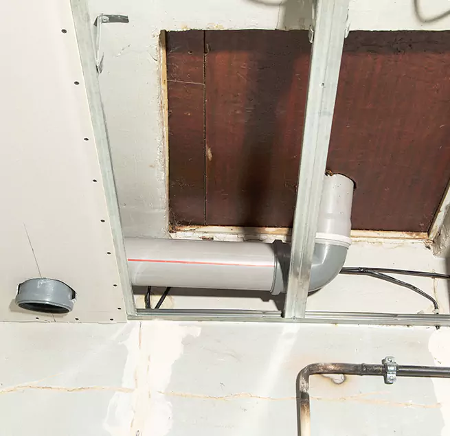 Why Homeowners & Businesses Trust Us in Parkland, FL?