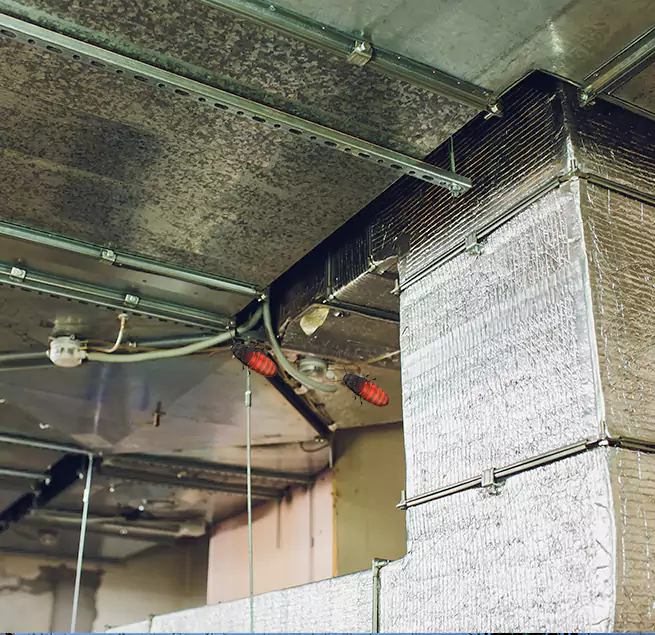 Why Homeowners & Businesses Trust Us Parkland, FL?