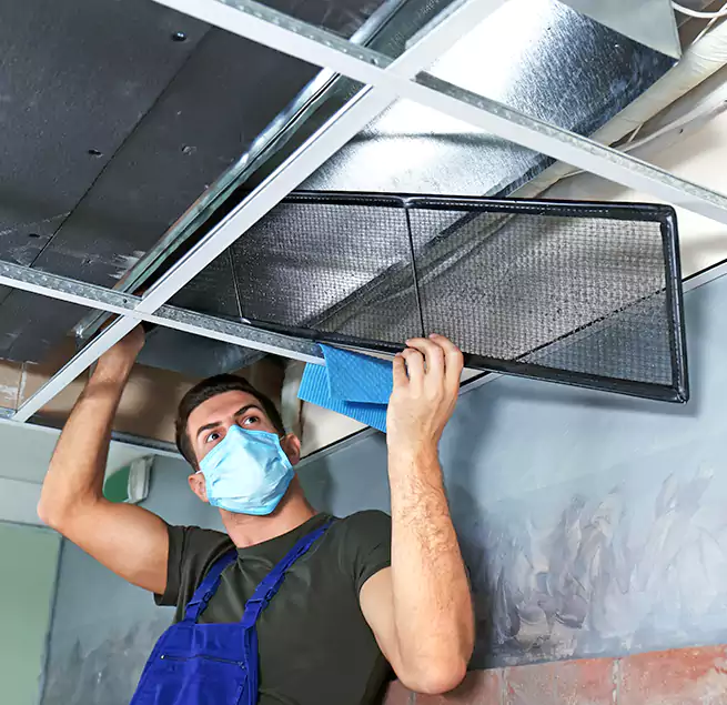 Why Homeowners Businesses Trust Us in Parkland, FL